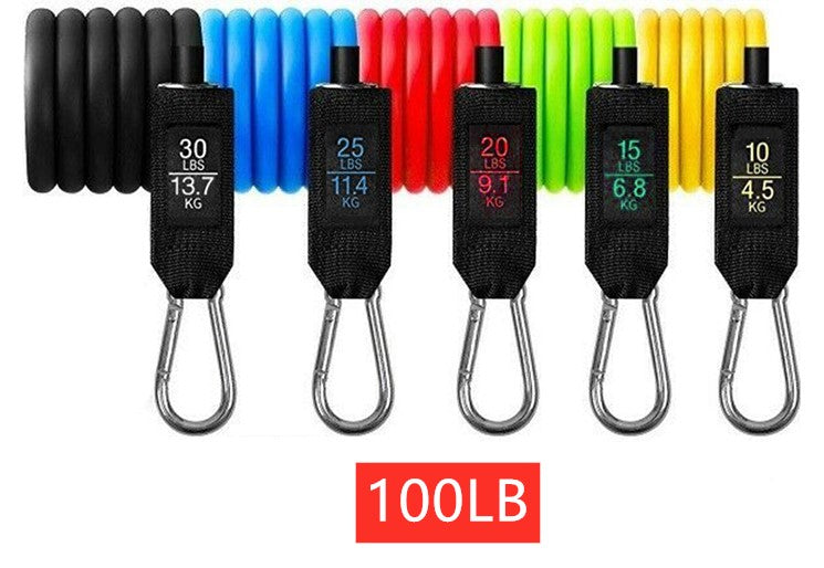 SGF Resistance Band Training Set – Full Body Home Workout Kit